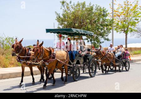 NERJA, SPAGNA - 15 MAGGIO 2022 abitanti della città, carrozze, carri, cavalli, buoi e trattori, così come gli agricoltori locali provenienti dai villaggi vicini Foto Stock