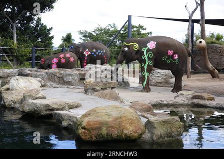 (160413) -- SYDNEY, 13 aprile 2016 -- gli elefanti sono dipinti con colori per celebrare il Festival di Songkran al Taronga Zoo, Sydney, Australia, 13 aprile 2016. Il Taronga Zoo di Sydney ha dipinto gli elefanti con colori e ha invitato ballerini thailandesi a dare spettacolo il mercoledì per celebrare il Festival di Songkran, noto anche come festival dell'acqua, che segna l'inizio di Capodanno nel calendario tailandese. ) AUSTRALIA-SYDNEY-TARONGA ZOO-SONGKRAN FESTIVAL-CELEBRAZIONE GregoryxDimopoulos PUBLICATIONxNOTxINxCHN 160413 Sydney 13 aprile 2016 gli elefanti sono dipinti con colori per celebrare il Capodanno tailandese Festi Foto Stock