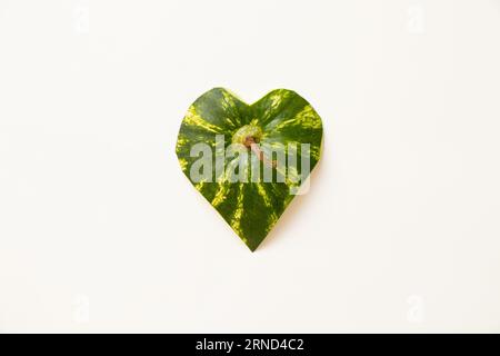 Cima di un cocomero tagliato con una coda di cavallo su sfondo bianco a forma di cuore, frutto Foto Stock