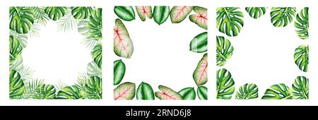 Set di cornici ad acquerello con realistiche foglie tropicali. Immagine di monstera, caladio, ficus leafs isolati su sfondo bianco. Bella botani Foto Stock