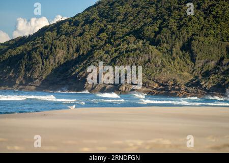 sabbia bianca bellissima spiaggia australiana in primavera nel queensland al crepuscolo Foto Stock