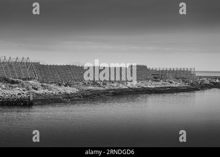 Foto in bianco e nero di fiocchi di pesce (Inferno) ricoperti di merluzzo bianco e nero, che domina il muro del porto nella città di Svolvær, Norvegia, sull'isola delle Lofoten Foto Stock