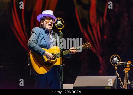 Castello Sforzesco, Milano, Italia, 31 agosto 2023, Elvis Costello si esibisce dal vivo durante Carmen Consoli - Elvis Costello - Concerto musicale Foto Stock