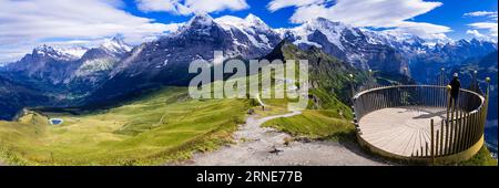 Swiss nature scenery. Scenic snowy Alps mountains and wild floral meadows. Beauty in nature. Switzerland landscape. View of Mannlichen mountain and fa Stock Photo