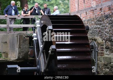 01 settembre 2023, Sassonia, Bad Düben: La ruota del mulino del cosiddetto Obermühle del XVI secolo gira nella Dübener Heide. L'infrastruttura del sentiero del Dübener Heide è stata rinnovata per i turisti. Segnaletica, bacheche informative e mappe sono state riorganizzate e ridisegnate nell'area ricreativa locale. Foto: Sebastian Willnow/dpa/ZB Foto Stock