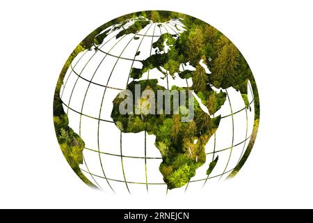 A forma di albero come la mappa del mondo. Mappa del mondo verde - albero a forma di mappa del mondo isolato su sfondo bianco. Foto Stock