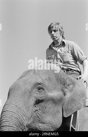 Attuale 22 - 4 - 1974: Junior a LineElephant tamer Arild Arnardo - ora anche come clown. Ha rilevato con grande abilità il numero di "Linon", famoso in tutto il mondo. Foto: Ivar Aaserud / Aktuell / NTB ***FOTO NON ELABORATA*** questo testo è stato tradotto automaticamente! Foto Stock