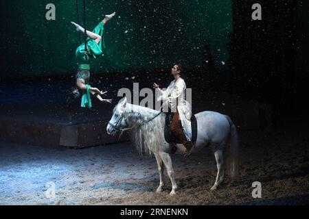 Pferdeshow Cavalia a Pechino (160630) -- PECHINO, 29 giugno 2016 -- Un artista cavalca un cavallo durante lo spettacolo Cavalia tenutosi nel Parco Chaoyang a Pechino, capitale della Cina, 29 giugno 2016. Cavilia è un nuovo mix di arti equestri e performative, multimedia ed effetti speciali, che integrano in modo innovativo acrobazie, danza, acrobazie aeree e musica dal vivo. Ha iniziato il suo tour mondiale nell'estate del 2003.) (wx) CHINA-BEIJING-CAVALIA SHOW (CN) JinxLiangkuai PUBLICATIONxNOTxINxCHN Horse Show Cavalia a Pechino 160630 Pechino giugno 29 2016 un Performer cavalca un cavallo durante il Cavalia Show Hero a Chao Yang P. Foto Stock