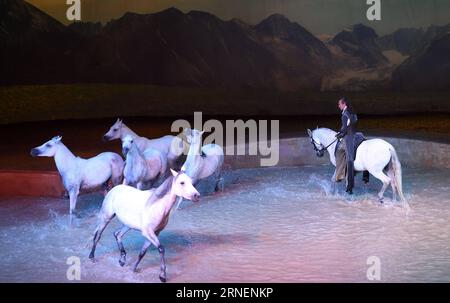 Pferdeshow Cavalia a Pechino (160630) -- PECHINO, 29 giugno 2016 -- Un artista cavalca un cavallo durante lo spettacolo Cavalia tenutosi nel Parco Chaoyang a Pechino, capitale della Cina, 29 giugno 2016. Cavilia è un nuovo mix di arti equestri e performative, multimedia ed effetti speciali, che integrano in modo innovativo acrobazie, danza, acrobazie aeree e musica dal vivo. Ha iniziato il suo tour mondiale nell'estate del 2003.) (wx) CHINA-BEIJING-CAVALIA SHOW (CN) JinxLiangkuai PUBLICATIONxNOTxINxCHN Horse Show Cavalia a Pechino 160630 Pechino giugno 29 2016 un Performer cavalca un cavallo durante il Cavalia Show Hero a Chao Yang P. Foto Stock