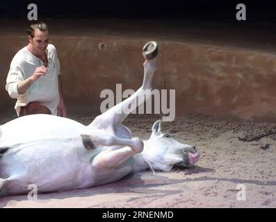 Pferdeshow Cavalia in Peking (160630) -- BEIJING, June 29, 2016 -- An actor performs during the Cavalia show held in Chaoyang Park in Beijing, capital of China, June 29, 2016. Cavilia is a fresh mix of equestrian and performing arts, multimedia and special effects, innovatively integrating acrobatics, dance, aerial stunts and live music. It began its world tour in the summer of 2003. ) (wx) CHINA-BEIJING-CAVALIA SHOW (CN) JinxLiangkuai PUBLICATIONxNOTxINxCHN   Horse show Cavalia in Beijing 160630 Beijing June 29 2016 to Actor performs during The Cavalia Show Hero in Chao Yang Park in Beijing C Stock Photo