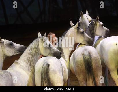 Pferdeshow Cavalia in Peking (160630) -- BEIJING, June 29, 2016 -- An actress performs during the Cavalia show held in Chaoyang Park in Beijing, capital of China, June 29, 2016. Cavilia is a fresh mix of equestrian and performing arts, multimedia and special effects, innovatively integrating acrobatics, dance, aerial stunts and live music. It began its world tour in the summer of 2003. ) (wx) CHINA-BEIJING-CAVALIA SHOW (CN) JinxLiangkuai PUBLICATIONxNOTxINxCHN   Horse show Cavalia in Beijing 160630 Beijing June 29 2016 to actress performs during The Cavalia Show Hero in Chao Yang Park in Beiji Stock Photo