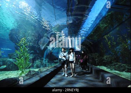 La gente visita il Siam Ocean World a Bangkok, Thailandia, 8 luglio 2016. L'acquario di 000 metri quadrati, uno dei più grandi del sud-est asiatico, ospita più di 30.000 creature marine. THAILANDIA-BANGKOK-SIAM OCEAN WORLD RachenxSageamsak PUBLICATIONxNOTxINxCHN celebrità visitano il Siam Ocean World a Bangkok Thai Country 8 luglio 2016 l'Acquario di 10 000 metri quadrati uno dei più grandi del Sud Est Asiatico ospita più di 30 000 creature della Marina il Paese thailandese Bangkok Siam Ocean World RachenxSageamsak PUBLICATIONxNOTxINxCHN Foto Stock