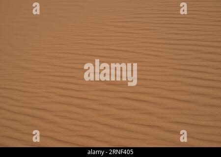 Vista nel deserto del Sahara di Tadrart rouge tassili najer nella città di Djanet, Algeria. Sabbia arancione colorata e montagne rocciose Foto Stock