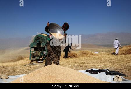 (160721) -- KABUL, July 21, 2016 -- Afghan farmers work on their farmland on the outskirt of Kabul, capital of Afghanistan, July 21, 2016. The agricultural sector, the backbone of the national economy in the land-locked country, has been affected due to drought as well as persistent fighting and instability in rural areas over the past couple of years. ) (sxk) AFGHANISTAN-KABUL-WHEAT HARVEST RahmatxAlizadah PUBLICATIONxNOTxINxCHN   160721 Kabul July 21 2016 Afghan Farmers Work ON their Farmland ON The outskirts of Kabul Capital of Afghanistan July 21 2016 The Agricultural Sector The Backbone o Stock Photo