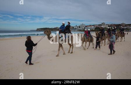(160724) -- SYDNEY, 24 luglio 2016 -- i turisti cavalcano i cammelli a Bondi Beach a Sydney, Australia, 24 luglio 2016. I cammelli furono importati in Australia nel XIX secolo per il trasporto e il lavoro pesante nell'entroterra. Con l'introduzione del trasporto motorizzato all'inizio del XX secolo furono rilasciati in natura. L'Australia ha ora la più grande popolazione di cammelli del mondo. ) (wtc) AUSTRALIA-SYDNEY-BONDI BEACH-CAMELS HongyexZhu PUBLICATIONxNOTxINxCHN 160724 Sydney 24 luglio 2016 turisti cavalcano cammelli A Bondi Beach a Sydney Australia 24 luglio 2016 cammelli sono stati importati in Australia nel 19 Foto Stock