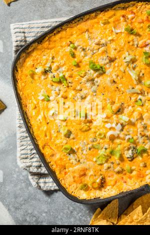 Salsa di pollo caldo fatto in casa con formaggio e patatine fritte Foto Stock