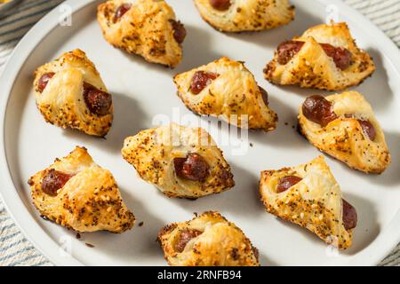 Maiale fatto in casa in una coperta Hot Dog con pasta sfoglia Foto Stock