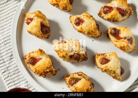 Maiale fatto in casa in una coperta Hot Dog con pasta sfoglia Foto Stock