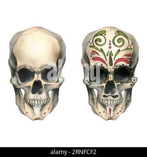 Vista frontale dei teschi umani con ornamenti colorati e senza. Illustrazione ad acquerello disegnata a mano per Halloween, il giorno dei morti, dia de los muertos. Imposta Foto Stock