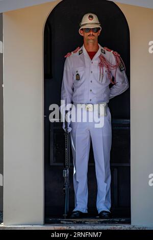 Un soldato in parata fuori dal Palazzo del Principe, Palais Princier, Monaco-Ville, Monaco, Francia Foto Stock