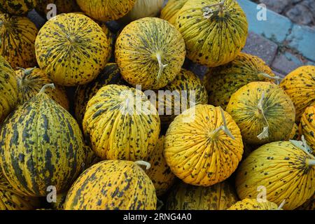 Preparazione pre-vendita di deliziosi meloni raccolti. Foto Stock