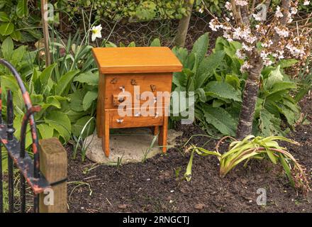 Bumble bee box al confine di un giardino fatto di legno con finte Bumblebees attaccate Foto Stock