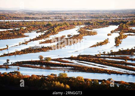 (160929) -- HULIN, 28 settembre 2016 -- foto scattata il 28 settembre 2016 mostra lo scenario della zona umida dell'isola di Zhenbao a Hulin, nella provincia di Heilongjiang nella Cina nordorientale. La zona umida di 29 275 ettari è stata designata come zona umida di importanza internazionale dalla Convenzione di Ramsar nel 2011 per la sua importanza vitale come zona umida unica per la diversità biologica. (Ry) CHINA-HEILONGJIANG-ZHENBAO ISLAND-LANDSCAPE (CN) WangxJianwei PUBLICATIONxNOTxINxCHN Hulin settembre 28 2016 la foto scattata IL 28 2016 settembre mostra il paesaggio della zona umida islandese di Zhenbao a Hulin provincia di Heilongjiang nel nord-est della Cina 2 Foto Stock