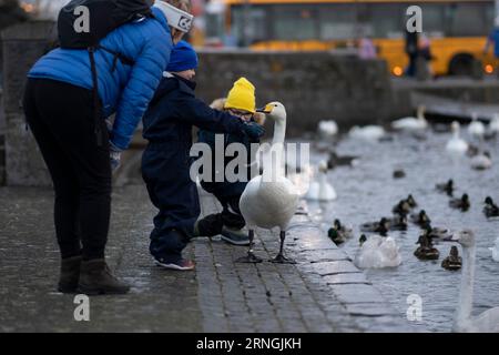 Piccolo ragazzo con cigno bianco a Reykjavik Foto Stock