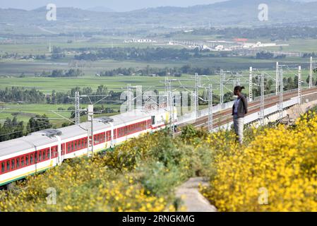 neue Eisenbahnstrecke zwischen der Hauptstadt Addis Abeba und Dschibuti (161004) -- ADDIS ABABA, Oct. 4, 2016 -- A train runs on the Ethiopia-Djibouti railway during an operational test near Addis Ababa, Ethiopia, on Oct. 3, 2016. Africa s first modern electrified railway -- the Ethiopia-Djibouti railway built by Chinese firms, is set to become fully operational on Wednesday. ) (nxl) ETHIOPIA-ADDIS ABABA-DJIBOUTI-RAILWAY SunxRuibo PUBLICATIONxNOTxINxCHN   New Railway line between the Capital Addis Ababa and Djibouti  Addis Ababa OCT 4 2016 a Train runs ON The Ethiopia Djibouti Railway during t Stock Photo