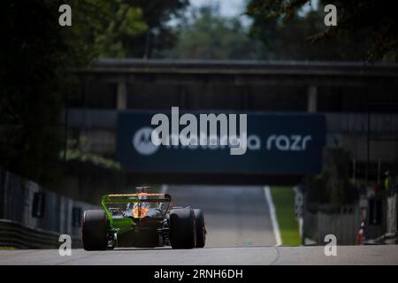 #81 Oscar Piastri (AUS, McLaren F1 Team), Gran Premio di F1 d'Italia all'autodromo Nazionale Monza il 1 settembre 2023 a Monza, Italia. (Foto di HIGH TWO) Foto Stock