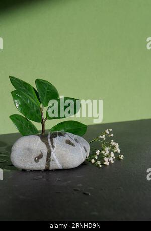Svuotare il prodotto con un modello minimale con una pietra, fiori e foglie verdi, sfondo verde e giallo Foto Stock