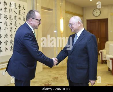 (161111) -- PECHINO, 11 novembre 2016 -- Chen Yuan (R), vicepresidente del Comitato nazionale della Conferenza consultiva politica del popolo cinese (CPPCC), incontra Zsolt Nemeth, presidente della commissione per gli affari esteri del parlamento ungherese, a Pechino, capitale della Cina, 11 novembre 2016. )(mcg) CHINA-BEIJING-CHEN YUAN-HUNGARY-ZSOLT NEMETH-MEETING (CN) ZhangxLing PUBLICATIONxNOTxINxCHN 161111 Pechino 11 novembre 2016 Chen Yuan r Vice Presidente del Comitato Nazionale della Conferenza consultiva politica delle celebrità cinesi il CPPCC incontra Zsolt Nemeth Presidente del Parli ungherese Foto Stock