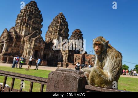 161128 -- LOPBURI, 28 novembre 2016 -- Un macaco mangiatore di granchi riposa sulle ringhiere del santuario Phra Prang Sam Yot a Lopburi, Thailandia centrale, 27 novembre 2016. Il simbolo di Lopburi Phra Prang Sam Yot è diventato un paradiso per migliaia di macachi che mangiano granchi. Le scimmie sono diventate la principale attrazione turistica di Lopburi e una delle principali fonti di reddito turistico. gj THAILAND-LOPBURI-CRAB-EATING MACAQUE-TOURISM LixMangmang PUBLICATIONxNOTxINxCHN Foto Stock