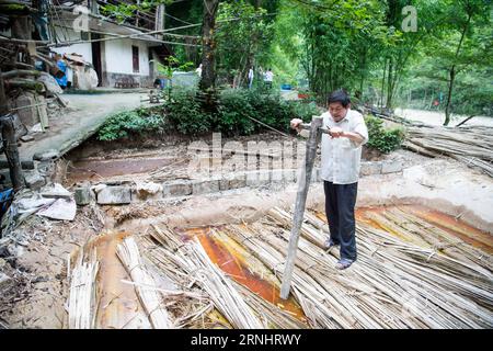 (161208) -- CHONGQING, 7 giugno 2016 --li Shilin immerge il bambù in una piscina di calce a Xinglong Town, a sud-ovest della Cina, a Chongqing, 7 giugno 2016. La famiglia li, che vive nella città di Chongqing a Xinglong, ha tramandato il tradizionale mestiere di fabbricazione della carta Tuhuo attraverso cinque generazioni. La carta tuhuo, fatta di bambù che cresce nelle aree locali, richiede tecniche di alto livello in tutte le fasi di lavorazione. Tuttavia, con un'elevata intensità di manodopera, scarse vendite e bassi rendimenti, il mestiere è ereditato da pochi giovani, il che ha spinto il governo a svilupparlo come un progetto turistico allo scopo di stimolare la t Foto Stock
