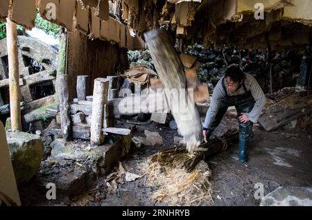 (161208) -- CHONGQING, 7 dicembre 2016 -- li Gaoqiang colpisce materiali per la fabbricazione di carta Tuhuo con una macchina a Xinglong Town, nel sud-ovest della Cina, Chongqing, 7 dicembre 2016. La famiglia li, che vive nella città di Chongqing a Xinglong, ha tramandato il tradizionale mestiere di fabbricazione della carta Tuhuo attraverso cinque generazioni. La carta tuhuo, fatta di bambù che cresce nelle aree locali, richiede tecniche di alto livello in tutte le fasi di lavorazione. Tuttavia, con un'elevata intensità di manodopera, scarse vendite e bassi rendimenti, il mestiere è ereditato da pochi giovani, il che ha spinto il governo a svilupparlo come turismo Foto Stock