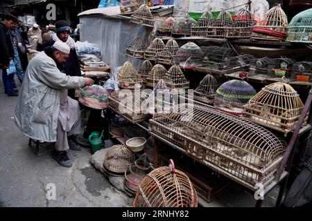 (161219) - KABUL, 19 dicembre 2016 -- un venditore afghano controlla i suoi uccelli al Koch-i-Kah Faroshi (Straw Street) a Kabul, capitale dell'Afghanistan, 19 dicembre 2016. Lo stretto Koch-i-Kah Faroshi nella vecchia città di Kabul è famoso per la fornitura di diverse specie di animali domestici da compagnia in Afghanistan. (Sxk) AFGHANISTAN-KABUL-BIRD SHOPS RahmatxAlizadah PUBLICATIONxNOTxINxCHN Kabul DEC 19 2016 a Afghan Vendor controlla i suoi uccelli PRESSO la Cook i KAH Faroshi Straw Street a Kabul capitale dell'Afghanistan DEC 19 2016 lo stretto Cook i KAH Faroshi nella città vecchia di Kabul È famoso per fornire diverse specie Foto Stock