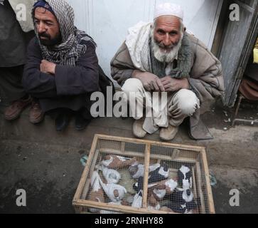 (161219) -- KABUL, 19 dicembre 2016 -- un fornitore afghano attende i clienti al Koch-i-Kah Faroshi (Straw Street) a Kabul, capitale dell'Afghanistan, 19 dicembre 2016. Lo stretto Koch-i-Kah Faroshi nella vecchia città di Kabul è famoso per la fornitura di diverse specie di animali domestici da compagnia in Afghanistan. (Sxk) AFGHANISTAN-KABUL-BIRD SHOPS RahmatxAlizadah PUBLICATIONxNOTxINxCHN Kabul DEC 19 2016 al Venditore afghano attende i clienti PRESSO la Cook i KAH Faroshi Straw Street a Kabul capitale dell'Afghanistan DEC 19 2016 lo stretto Cook i KAH Faroshi nella città vecchia di Kabul È famoso per la fornitura di diverse spade Foto Stock