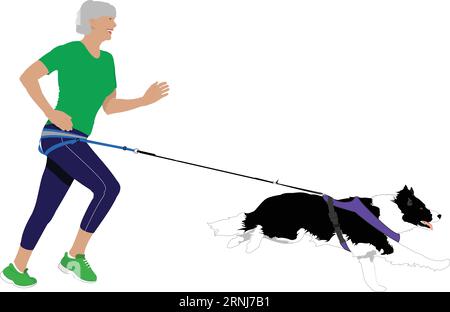 CaniCross - donna anziana che corre con un Border Collie su sfondo bianco Illustrazione Vettoriale