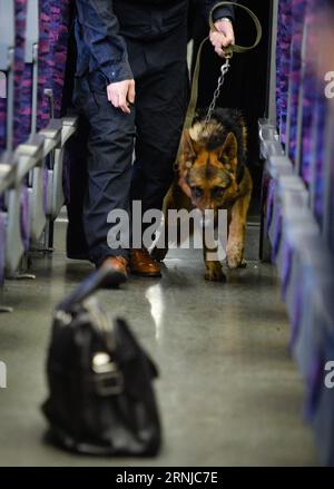 (170115) -- NANCHINO, 15 gennaio 2017 -- un cane detective esplosivo partecipa a un'esercitazione in un centro di manutenzione per treni ad alta velocità a Nanchino, capitale della provincia di Jiangsu della Cina orientale, 15 gennaio 2017. Il dipartimento di polizia ferroviaria di Nanchino ha organizzato una esercitazione domenica per migliorare la loro capacità di gestire situazioni di emergenza). (zhs) CHINA-NANJING-RAILWAY-EMERGENCY-DRILL (CN) LixXiang PUBLICATIONxNOTxINxCHN 170115 Nanjing 15 gennaio 2017 a Explosive Detective Dog prende parte a un Drill in un centro per treni ad alta velocità a Nanchino capitale della provincia di Jiangsu della Cina orientale 15 gennaio 2017 Nanjing Railway Pol Foto Stock