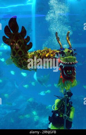 (170125) -- SINGAPORE, 25 gennaio 2017 -- Un subacqueo esegue la danza del drago subacqueo al S.E.A. Aquarium al Resorts World Sentosa di Singapore il 25 gennaio 2017. L'acquario ha presentato ai media un'anteprima della danza del drago subacqueo che farà parte delle celebrazioni lunari del nuovo anno. )(yy) SINGAPORE-RWS-AQUARIUM-UNDERWATER DRAGON DANCE ThenxChihxWey PUBLICATIONxNOTxINxCHN Singapore gennaio 25 2017 un SUBACQUEO esegue la Danza del Drago SUBACQUEO AL Resorts World Sentosa di Singapore IL 25 2017 gennaio l'Aquarium ha presentato a Media un'anteprima della Danza del Drago SUBACQUEO W. Foto Stock