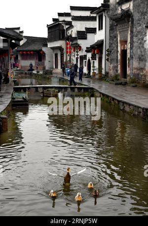 (170208) -- HUANGSHAN, 8 febbraio 2017 -- le anatre nuotano in un fiume nel villaggio di Tangmo, Huangshan City of East China S Anhui Province, 8 febbraio 2017. L'antico villaggio di Tangmo sfoggia la sua bellezza in primavera.) (Zwx) CHINA-ANHUI-TANGMO VILLAGE-RAIN (CN) TaoxMing PUBLICATIONxNOTxINxCHN Huang Shan 8 febbraio 2017 le anatre nuotano in un fiume nel villaggio di Tangmo Huang Shan città della provincia di Anhui della Cina orientale 8 febbraio 2017 l'antico villaggio di Tangmo si svolge la sua bellezza in primavera drizzle zwx China Anhui Tangmo Village Rain CN TaoxMing PUBLINTIXINTINTINTINTIXNO Foto Stock