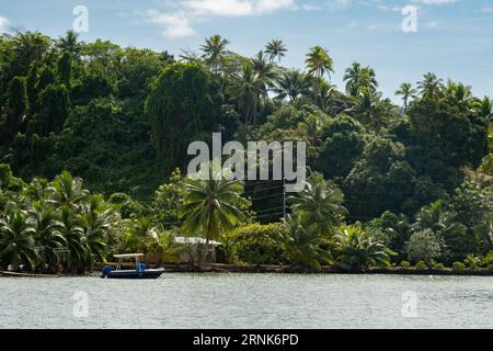 31 agosto 2023, Taha'a, Polinesia francese: L'isola di Taha'a sulla Polinesia francese il 31 agosto 2023. (Immagine di credito: © Bryan Smith/ZUMA Press Wire) SOLO USO EDITORIALE! Non per USO commerciale! Foto Stock