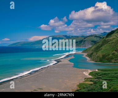 Mattole Beach, foce del fiume Mattole, King Range National Conservation area, Lost Coast, Humboldt County, California Foto Stock