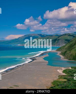 Mattole Beach, foce del fiume Mattole, King Range National Conservation area, Lost Coast, Humboldt County, California Foto Stock