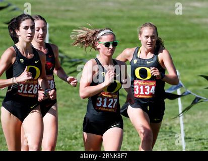 1 settembre 2023: La Senior Katie Clute (3127) dell'Università dell'Oregon vince l'evento Women's 4K al Linfield Harrier Classic NCAA Cross Country Meet al Joe Dancer Park, McMinneville, OREGON. Larry C. Lawson/CSM (immagine di credito: © Larry C. Lawson/Cal Sport Media) credito: Cal Sport Media/Alamy Live News Foto Stock