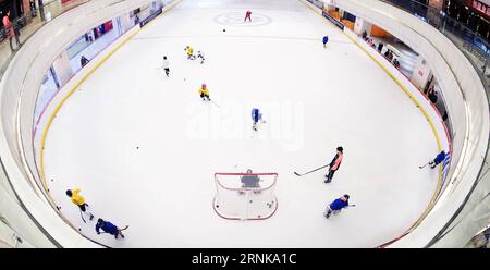 (170316) -- WUHAN , 16 marzo 2017 -- foto scattata il 25 febbraio 2017 mostra i giocatori di hockey su ghiaccio del Binglong International Skating Club che si allenano in un centro commerciale di Wuhan, nella provincia di Hubei, nella Cina centrale. Mantenendo un ritmo di sviluppo solido e costante, l'industria sportiva cinese è in piena espansione nel 2016. Il programma nazionale di fitness (2016-2020) e il tredicesimo piano quinquennale sull'industria sportiva sono stati entrambi pubblicati nel 2016 per offrire una chiara direzione alla strategia nazionale cinese di garantire l'idoneità pubblica e lo sviluppo dell'industria sportiva. Amministrazione generale dello sport della Cina, unisciti Foto Stock