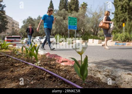 (170322) - GERUSALEMME, 22 marzo 2017 -- la gente cammina davanti a un parco che impiega il sistema di irrigazione a goccia a Gerusalemme, il 22 marzo 2017. Mercoledì ricorre la giornata mondiale dell'acqua. ) MIDEAST-JERUSALEM-WORLD WATER DAY GuoxYu PUBLICATIONxNOTxINxCHN Gerusalemme 22 marzo 2017 le celebrità camminano davanti a un Park Thatcher impiega il sistema di irrigazione a goccia a Gerusalemme IL 22 marzo 2017 mercoledì segna la giornata Mondiale dell'acqua Mideast Gerusalemme giornata Mondiale dell'acqua GuoxYu PUBLICATIONxNOTxINxCHN Foto Stock