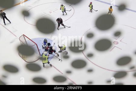 (170329) -- CHENGDU, 29 marzo 2017 -- i ragazzi giocano a hockey su ghiaccio in una pista di pattinaggio situata in un centro commerciale a Chengdu, capitale della provincia del Sichuan della Cina sud-occidentale, 25 febbraio 2017. Negli ultimi anni, gli sport invernali sono sempre più popolari nel sud e nell'ovest della Cina. Il governo della provincia di Sichuan integra sport invernali, tempo libero e attività sportive e turismo su ghiaccio e neve, incoraggiando le risorse sociali a investire nella costruzione di luoghi e aprendo corsi di sport invernali e attirando sempre più persone a partecipare agli sport invernali. Circa 5.000 persone continuano a praticare sport invernali nel Sichuan. C'è ar Foto Stock