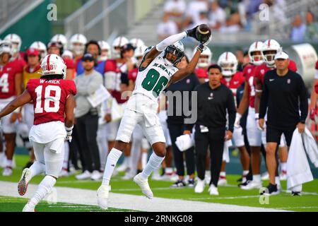 Honolulu, Hawaii, USA. 1 settembre 2023. Il ricevitore degli Hawaii Warriors POFELE ASHLOCK (86) ricevette un passaggio laterale durante il primo quarto di una partita tra gli Stanford Cardinal e gli Hawaii Warriors giocata al Clarence T.C. Ching Stadium, Honolulu, Hawaii. (Immagine di credito: © Steven Erler/ZUMA Press Wire) SOLO USO EDITORIALE! Non per USO commerciale! Foto Stock