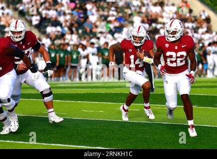 Honolulu, Hawaii, USA. 1 settembre 2023. Il quarterback degli Stanford Cardinal ASHTON DANIELS (14) seguì i bloccanti durante un sweep durante il primo quarto di una partita tra gli Stanford Cardinal e gli Hawaii Warriors giocata al Clarence T.C. Ching Stadium, Honolulu, Hawaii. (Immagine di credito: © Steven Erler/ZUMA Press Wire) SOLO USO EDITORIALE! Non per USO commerciale! Foto Stock